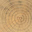 Table d'appoint creuse avec texture semblable au bois et ton naturel, forme ronde unique pour différents espaces, 14,5 x 16,42 pouces, prête à servir vos exigences teintées d'apparence, structure distinctive