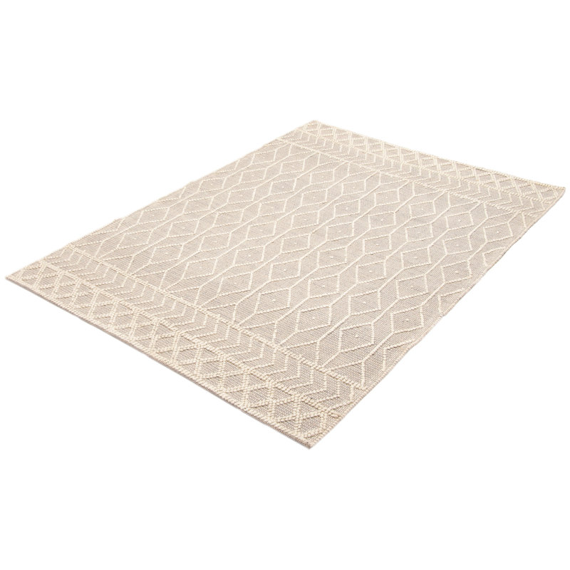 Iamandi Performance Hand Braided Wool Rug