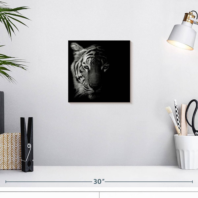 Brampt Tiger Contour