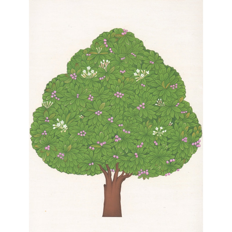 Miniature botanique | Pigments naturels sur papier | Par Muhammad Waseem