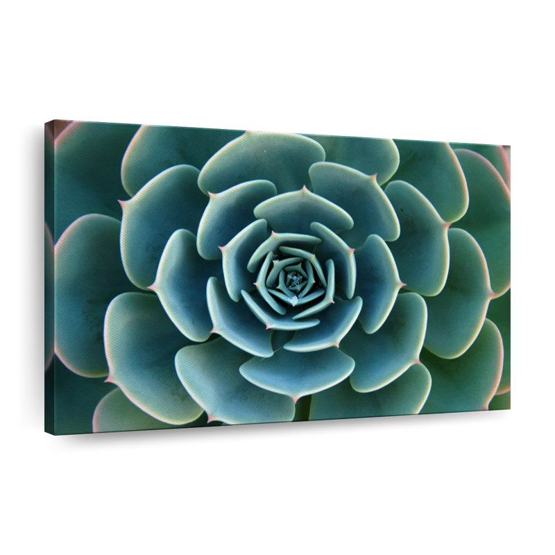«Live Succulent», reproduction sur toile, H 16 po x l 24 po x P 1,25 po
