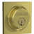 Satin Brass