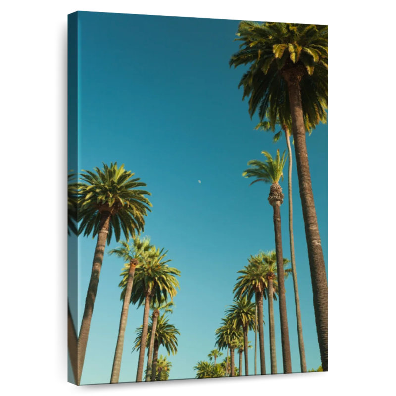 Harnek Palm Tree Rows, 24" H x 16" W
