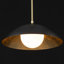 Luminaire suspendu noir mat à 1 lumière Lebone (17,7 po)-1714731361