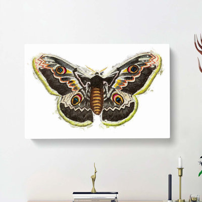 Great Peacock Moth by George Shaw - Wrapped Canvas Painting
