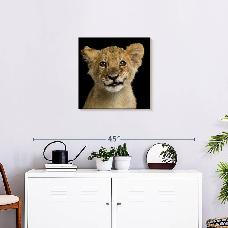 Brampt Baby Lion Head, 20" H x 20" W