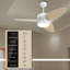 Ventilateur de plafond intelligent à DEL avec télécommande Light Pro
