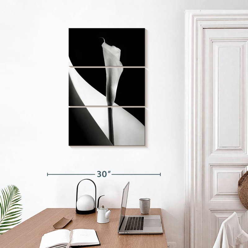 Harnek BW Calla Lily, H 32 po x l 20 po