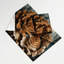 Tapisserie murale de légumes Maitake-133639135