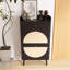 Armoire de rangement en rotin pour chaussures avec double couche-858555692