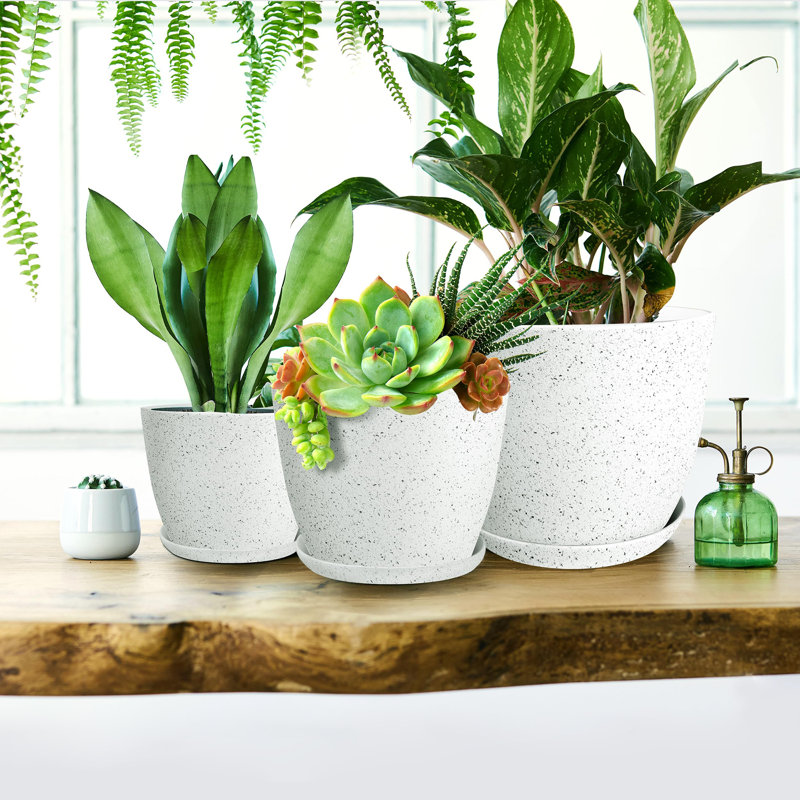 Plant Pots Indoor with Drainage, Spotty Gray