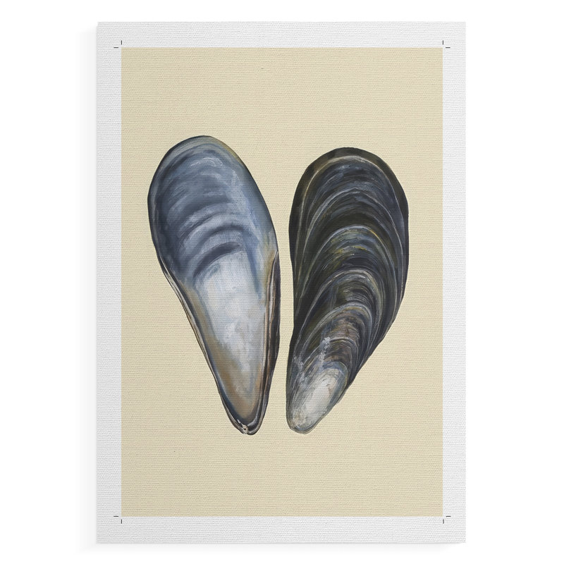 Bivalve Shells I -Canvas Print Only - NOT FRAMED, 27" H x 18" W