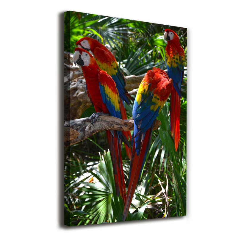 Macaw Parrots - Wrapped Canvas Print