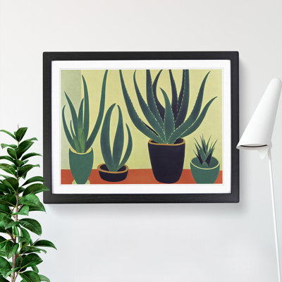 Aloe Vera Plants - Single Picture Frame Print