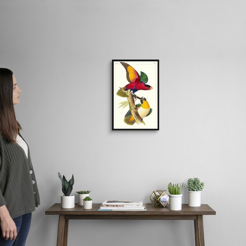 «Lemaire Parrots I», art mural sur toile, H 20 po x l 14 po x P 2 po, Toile encadrée noire