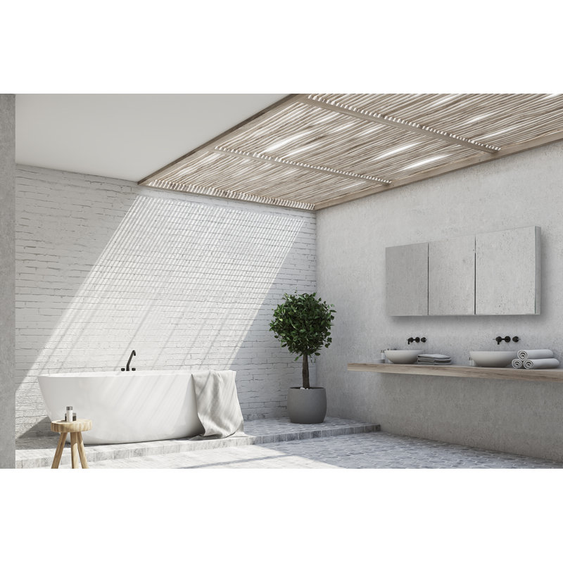 Eris 1200mm W 700mm H Surface Frameless Medicine Cabinet Mirror 9 Adjustable