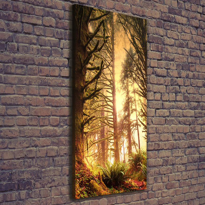 The Rainforest - Wrapped Canvas Print