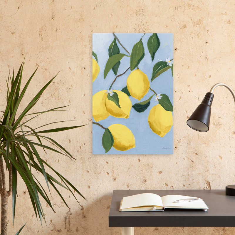 Citronnier clair - branches bleues agrumes, H 24 po x l 16 po