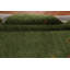 Tapis vert Gabbeh