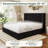 Khoi Upholstered Platform Storage Bed-1036192710-1036192714