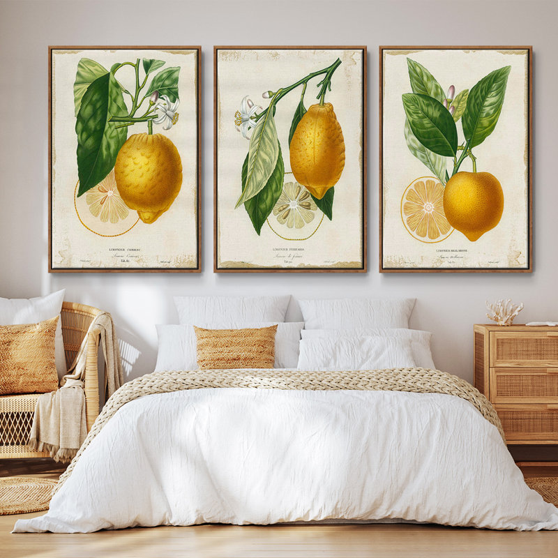 Citron français I 3 pièces, Noyer, H 36 po x l 72 po