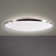 1-Light LED Dimmable Flush Mount