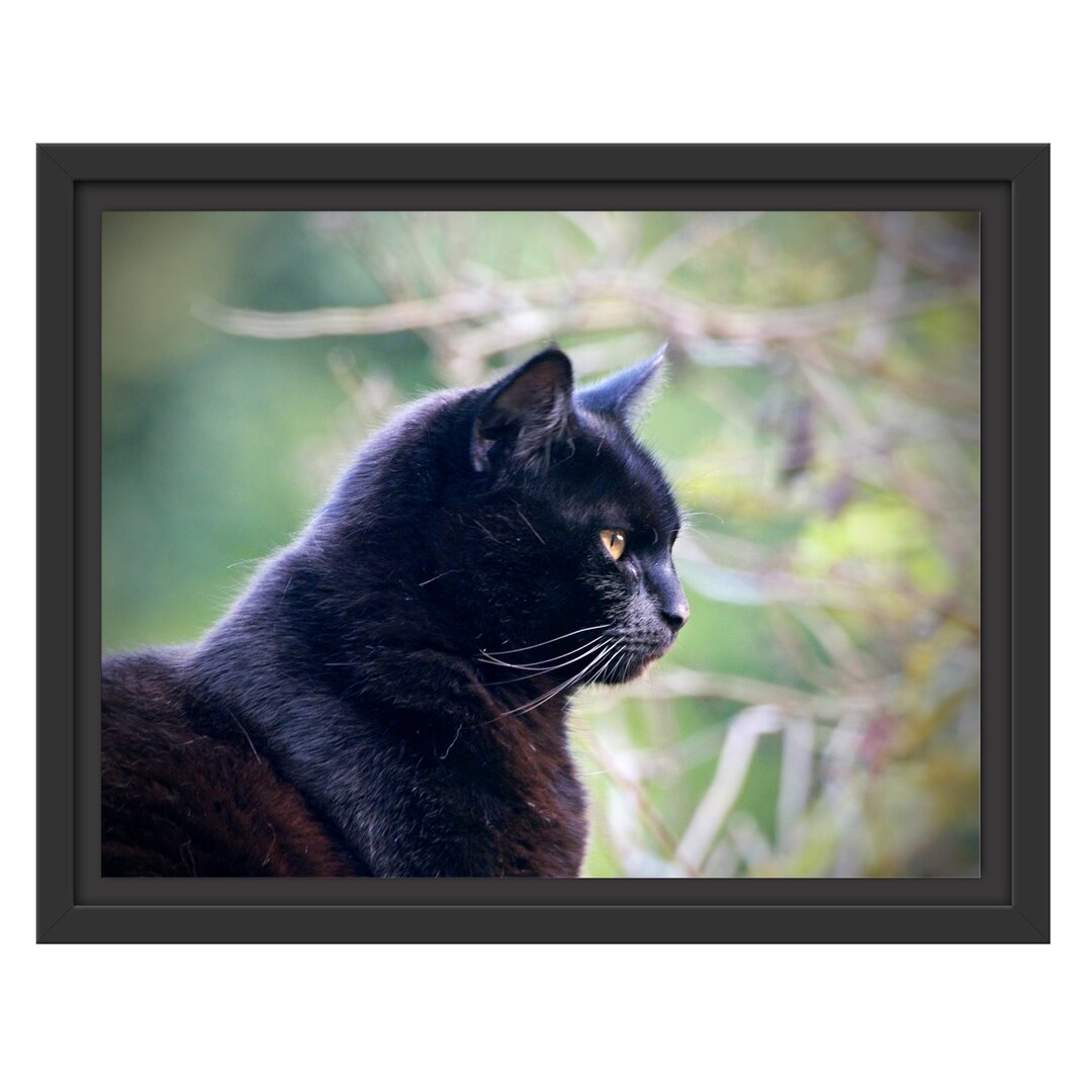 Gerahmtes Wandbild schwarze Katze