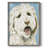 Labradoodle II Framed Print - Solid Wood-1836780462