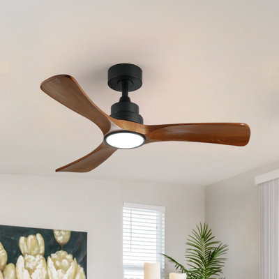 Ventilateur de plafond standard à DEL à 3 pales de 42 po avec télécommande et ensemble d'éclairage pour salon