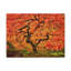 Art japonais sur toile, érable japonais en automne-103792249