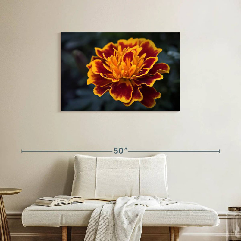 Harnek Red Marigold Flower, 24" H x 36" W