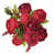 Rouge Bourgogne