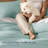 PHF Soft Waffle Comforter Set, Comfy Breathable Lightweight Textured Waffle Weave Comforter Bedding Set-124231528-124231529