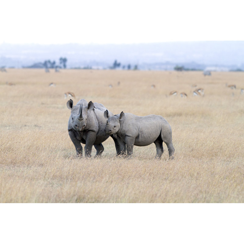 Rhinocéros noir par Angelika, H 24 po x l 36 po