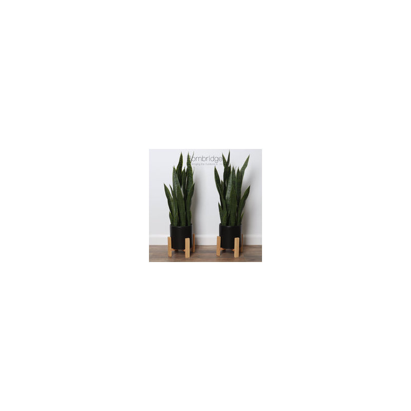 Fausse plante à plante en pot 26,25 po Bornbridge