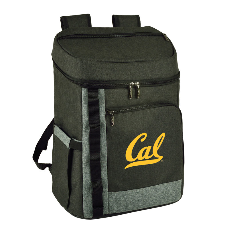 Insulated Cooler Backpack
