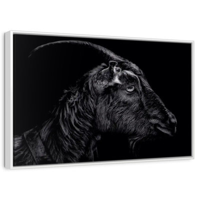 Monochrome Horned Goat