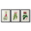 «Pretty Pink Botanicals VII», reproduction encadrée de qualité supérieure - prête à être accrochée-69981720-69981722