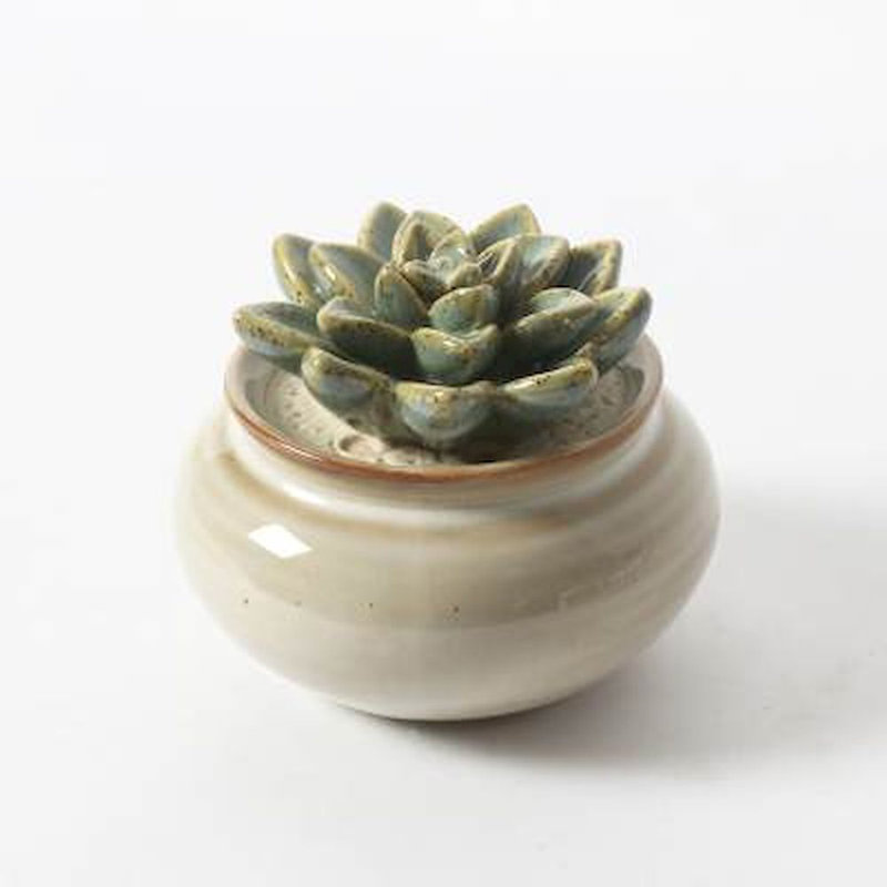 Kalea Ceramic Pot Planter