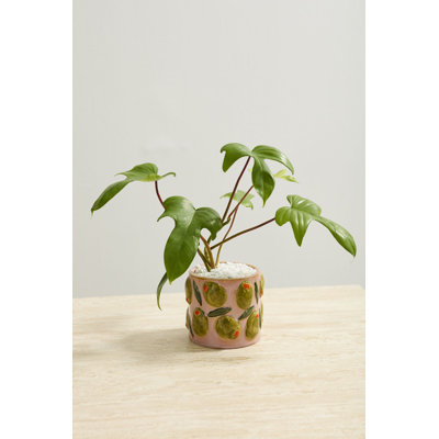 Cucina Pot 5.25"x 4.5"