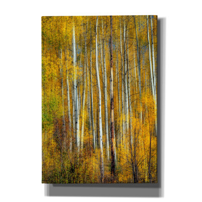 «Aspenglow Vi» par Rick Berk, art mural sur toile