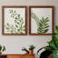 Botanical Wash I - ensemble de 2 reproductions-463140509-463140521-463140523