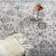 Tapis oriental gris Ascutney