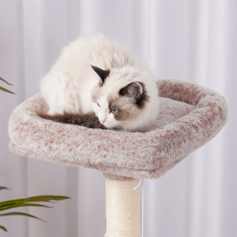 Arbre à chat Evalena, H 8,66 po x l 16,54 po x L 18,5 po, Gris foncé