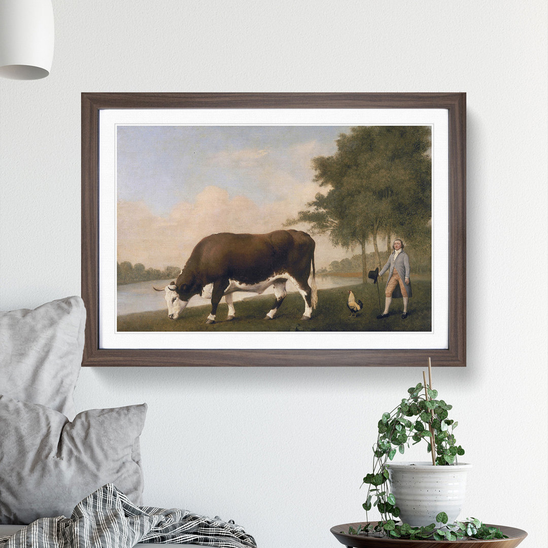 The Lincolnshire Ox by George Stubbs - Framed Print