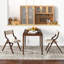 Folding Chair-510022964-510022969-510022962