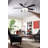 Bindner 12'' Ceiling Fan with LED Lights