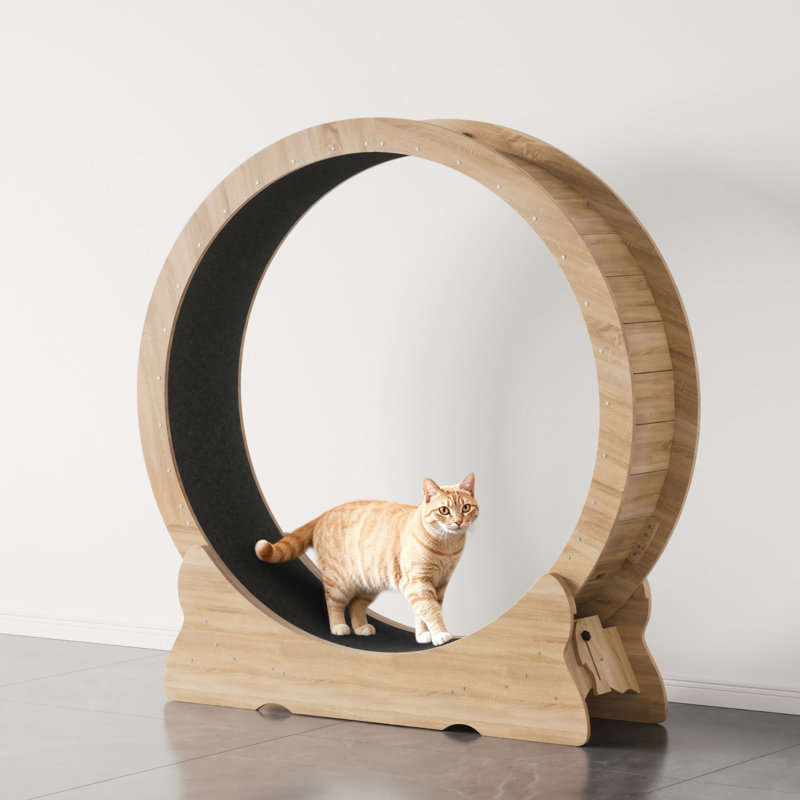 Roue d'exercice moderne 43,3 po
