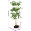 Faux Bamboo Tree in Pot-1169599036