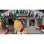  Maison de chat isolée